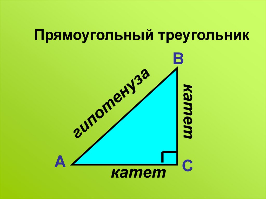 Большая из сторон прямоугольного треугольника. Сумма углов прямоугольного треугольника. Сумма углов треугольника слайд. Самая длинная сторона прямоугольного треугольника. Картинка сумма углов прямоугольного треугольника.