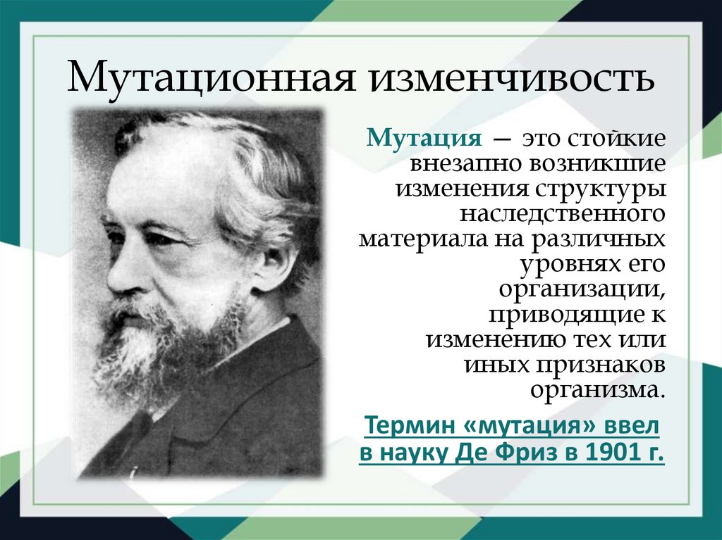 Презентация по биологии 10 класс мутационная изменчивость