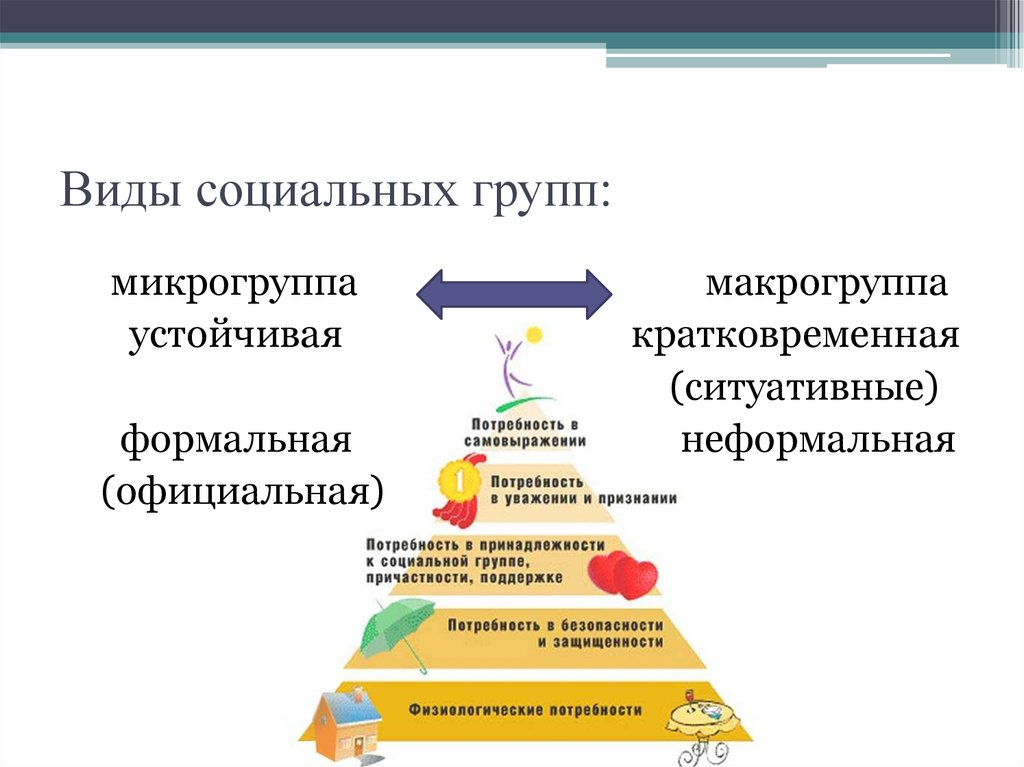 Социальная структура обществознание презентация. Виды социальных групп. Социальнач группа ученик. Экспрессивная социальная группа. Виды социальных микрогрупп.