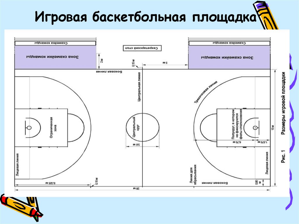 Разметка баскетбольной площадки с размерами и названиями линий схема