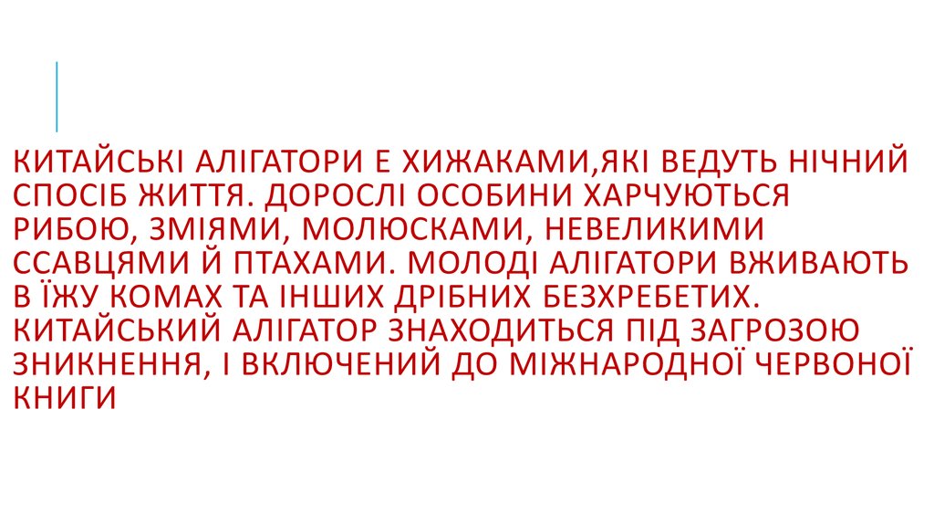Китайські алігатори е хижаками,які ведуть нічний спосіб життя. Дорослі особини харчуються рибою, зміями, молюсками, невеликими