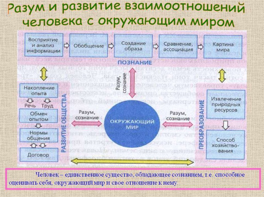 Схема взаимодействие природы и человека