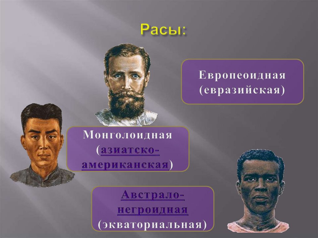 Расы человека европеоидная монголоидная негроидная