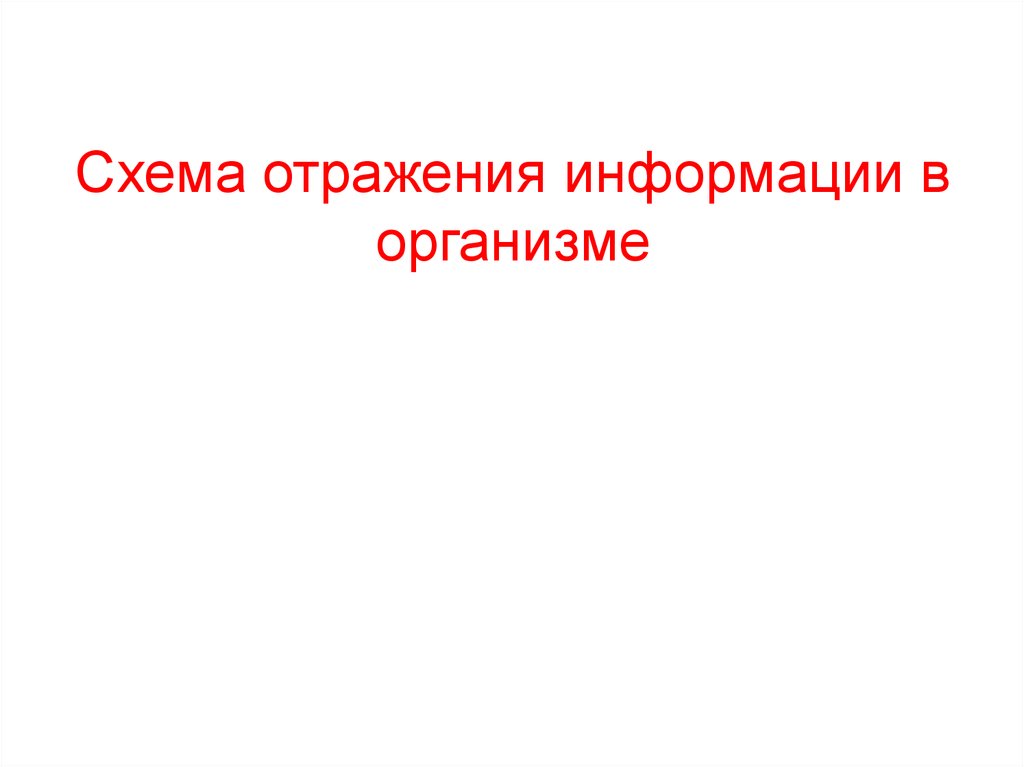 Информацию отраженную. Схема отражения информации в организме. Отражение и информация. Схема отражения информации в организме физиология. Блок отражения информации.