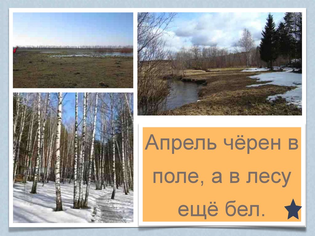 Презентация по окружающему миру 1 класс апрель водолей школа 21 века