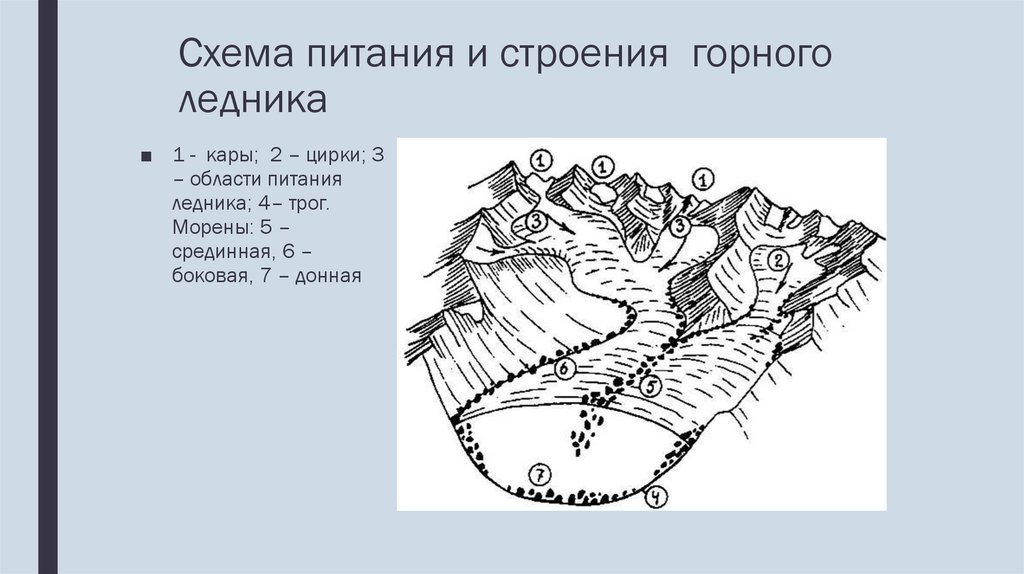 Части ледника. Части горного ледника схема. Схема строения горного ледника. Схема образования горного ледника. Строение ледника схема.