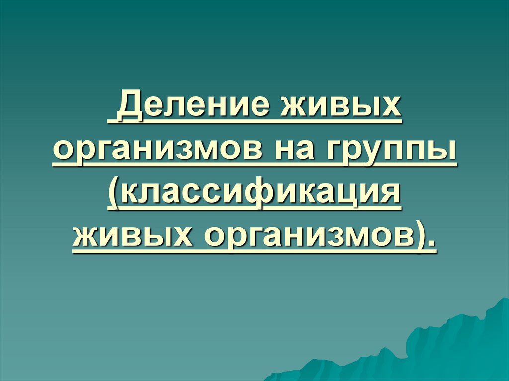 Презентация классификация живых организмов