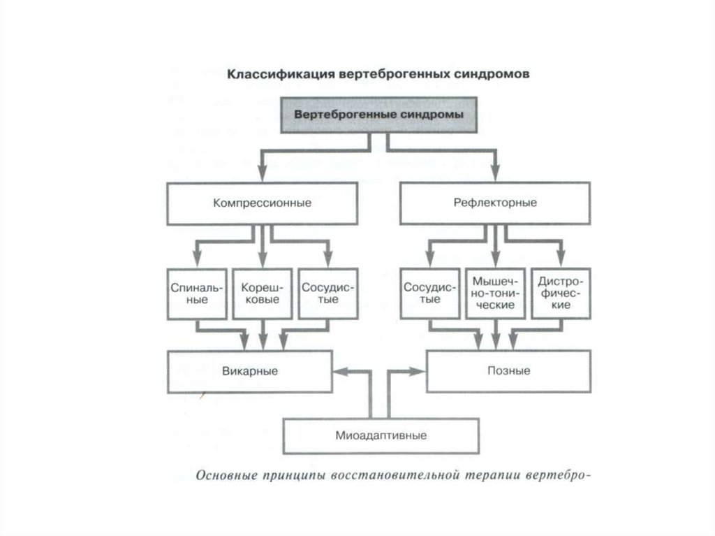 Вертеброгенный генез. Компрессионные и рефлекторные вертеброгенные синдромы. Классификация вертеброгенных поражений. Вертеброгенный синдром. Классификация компрессионного синдрома.