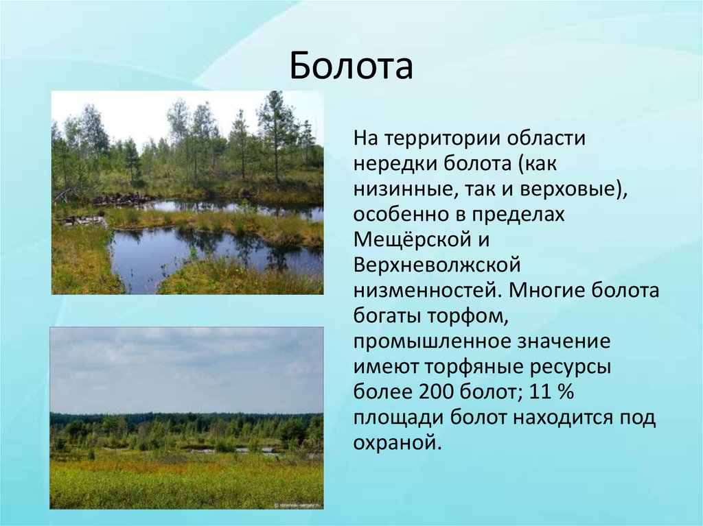 Территория болот в россии. Болота презентация. Болота доклад. Доклад про болото. Болота это в географии.
