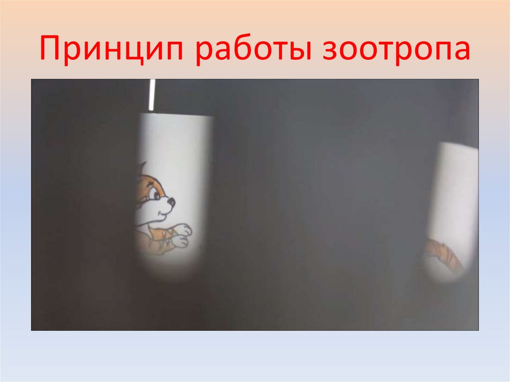 Принцип работы зоотропа