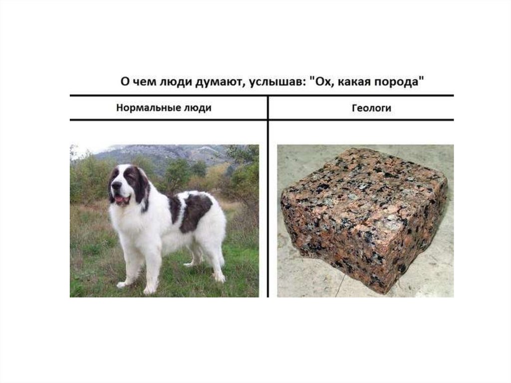 Нормальные породы