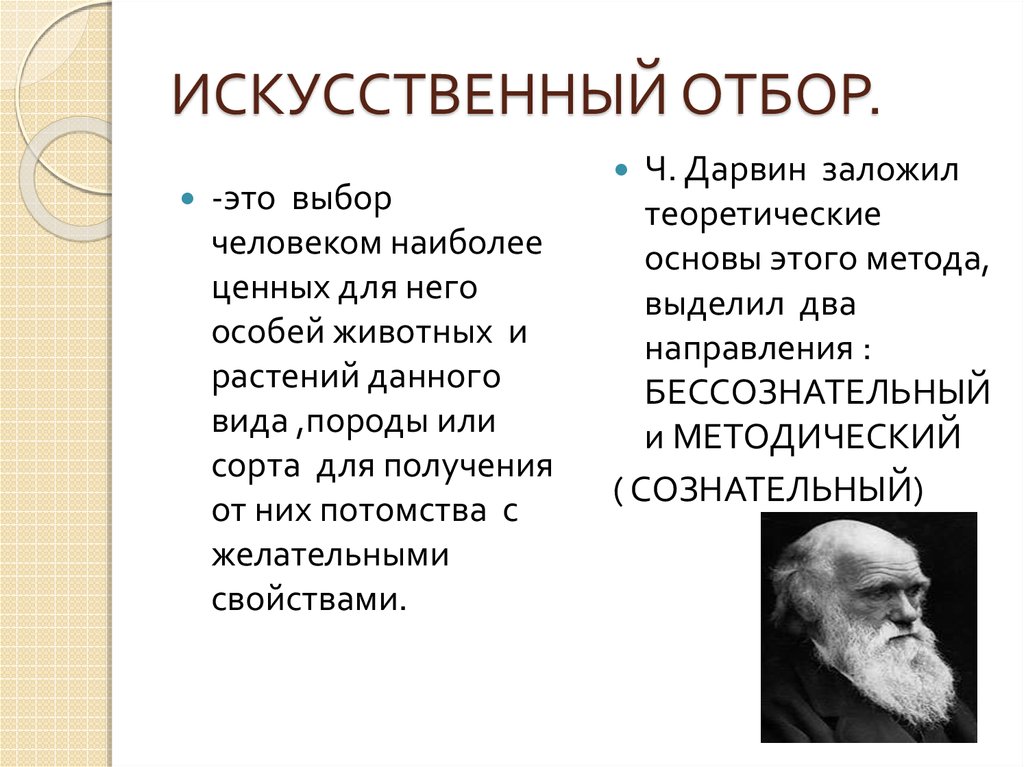 Искусственный отбор. Искусственный отбор по Дарвину. Искусственный отбор это выбор человеком наиболее. Виды искусственного отбора по Дарвину. Формы искусственного отбора по Дарвину.