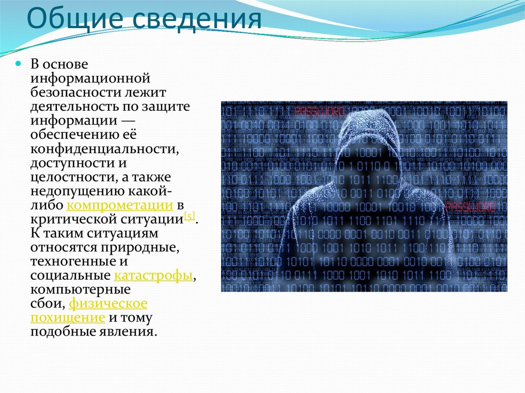 Общие сведения