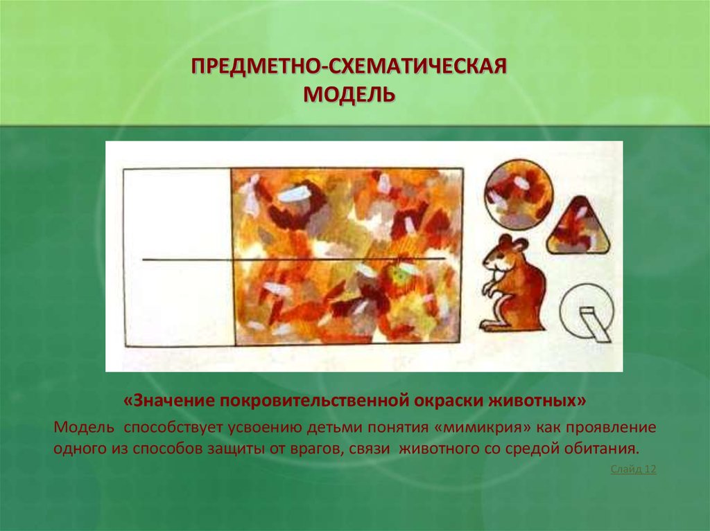 Образец предметной экологической модели