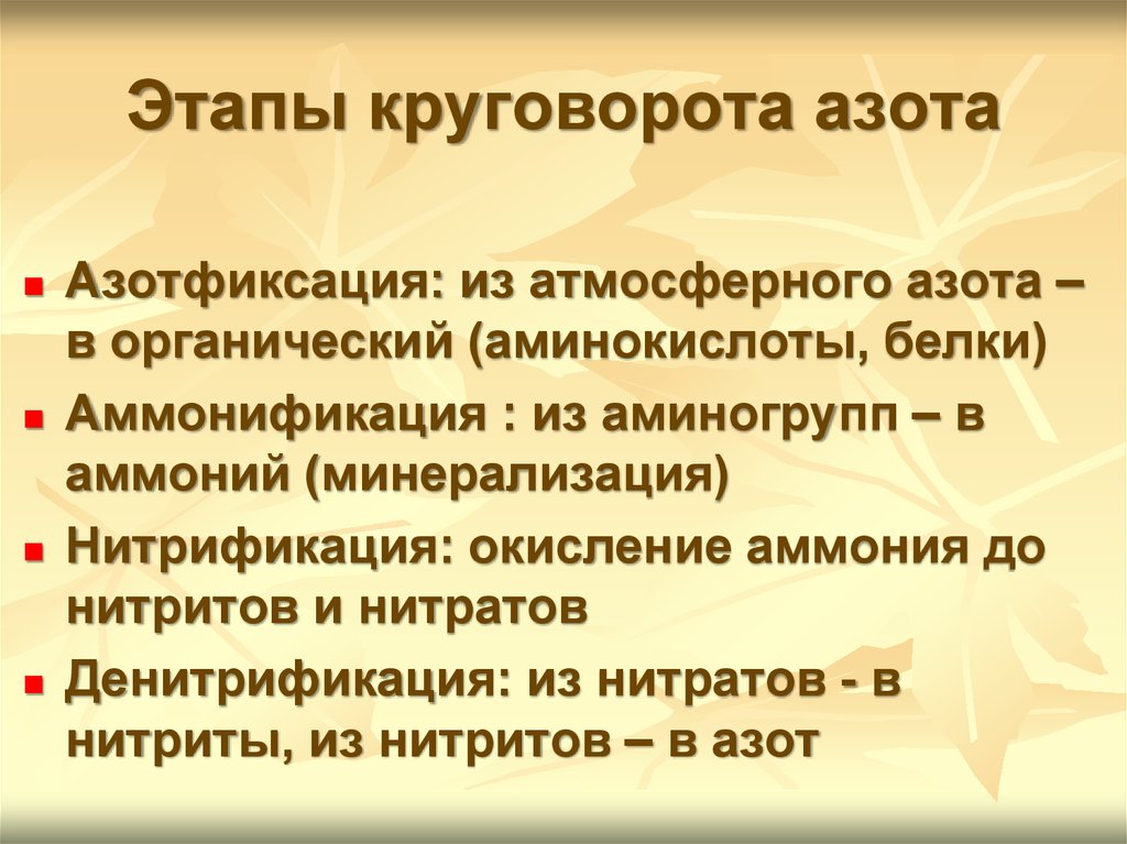 Азотфиксацию осуществляют