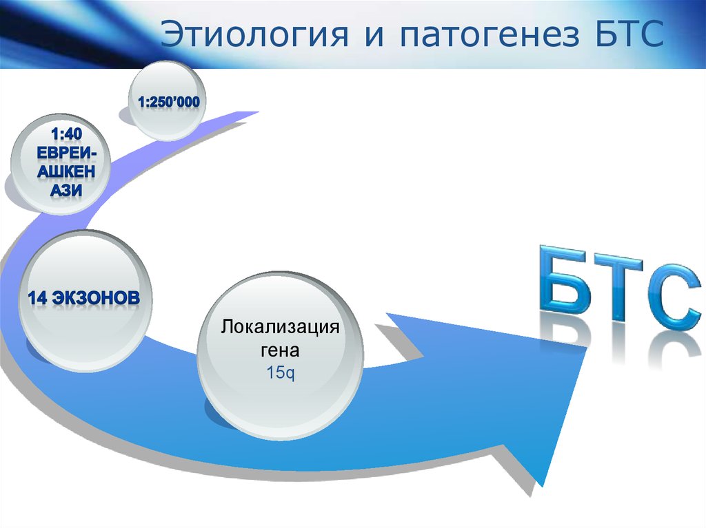 Презентация по бтс