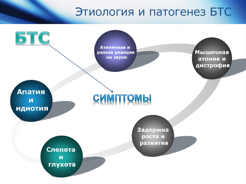 Презентация по бтс