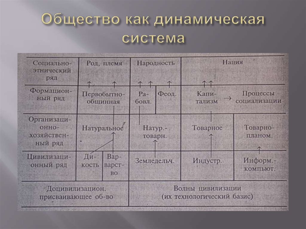 План на тему общество как динамическая система