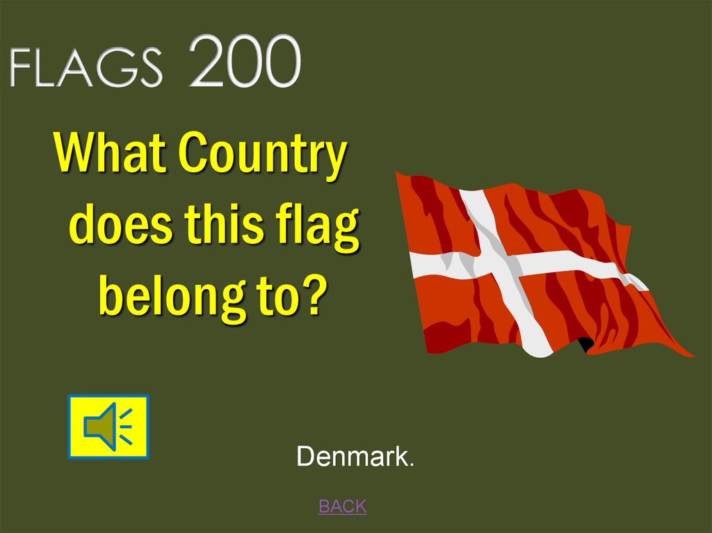 FLAGS 200