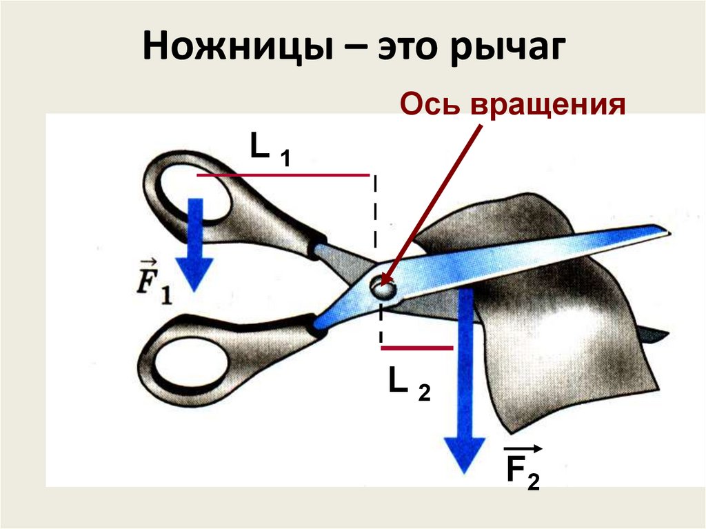 Плоскогубцы образуют два одинаковых соединенных рычага. Простые механизмы рычаг ножницы. Ножницы как рычаг физика. Рычаг схема физика. Простые механизмы ножницы в быту.