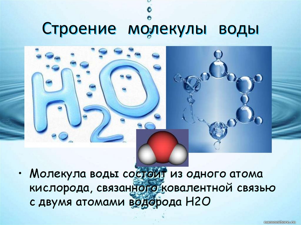 Атом живого организма. Структура формулы воды. Строение молекулы воды. Структура молекулы воды. Молекулярная структура воды.