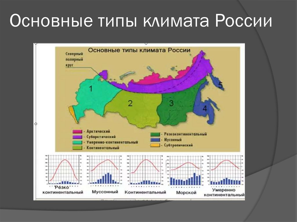 Умеренный климат карта