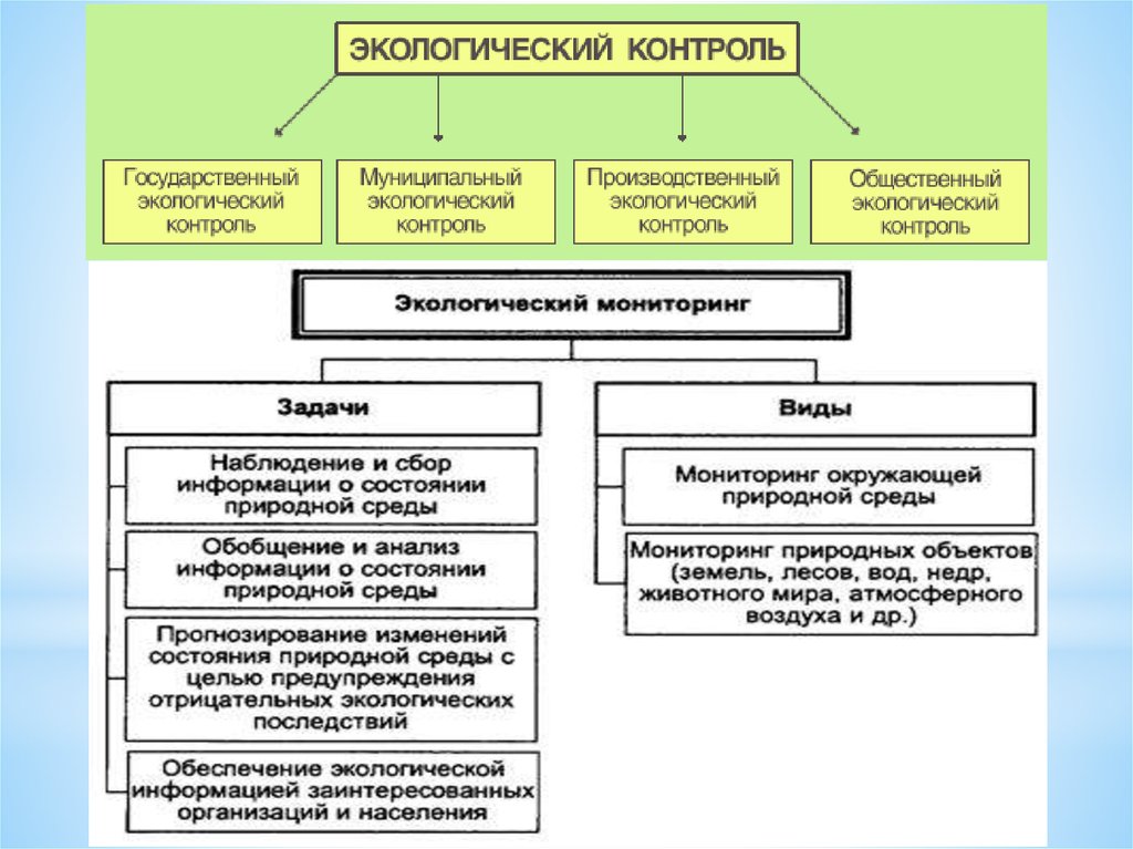 Проект экологического контроля