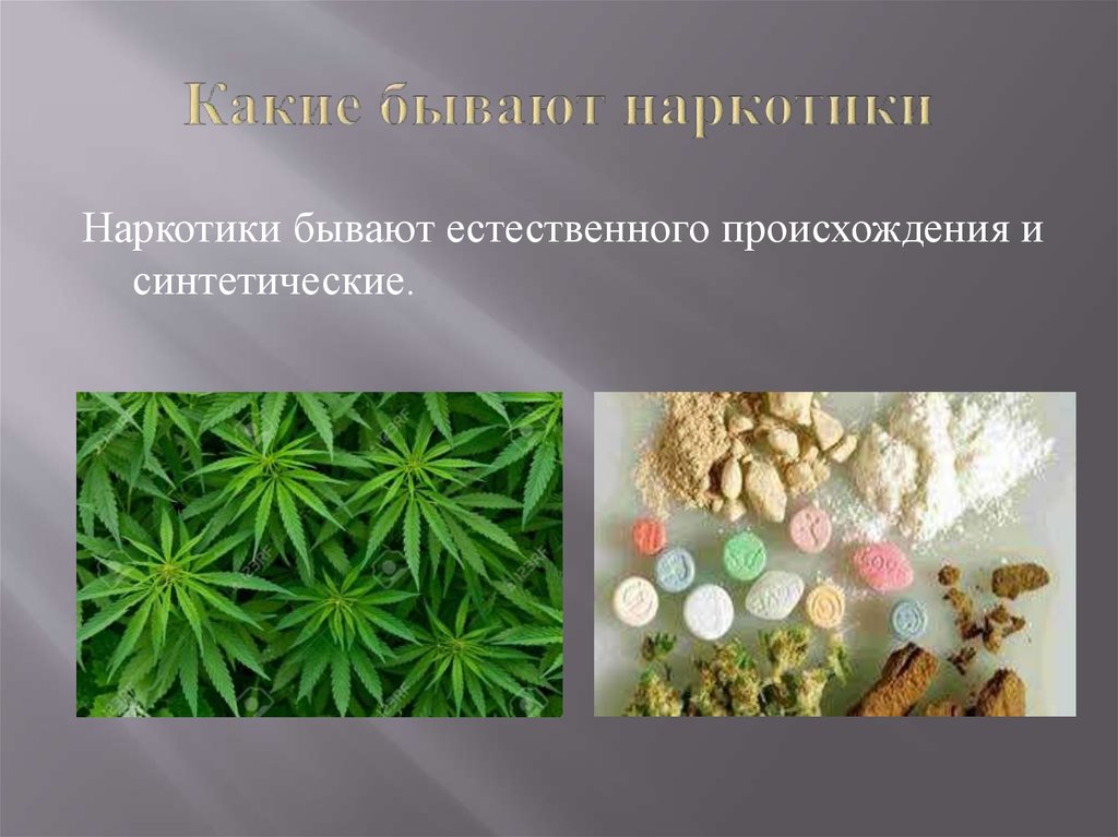 Соединения растительного происхождения. Виды наркотиков. Разновидности наркотиков. Наркотики растительного происхождения. Синтетические и растительные наркотики.