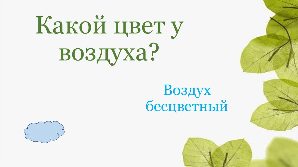 Викторина по экологии 4 класс презентация