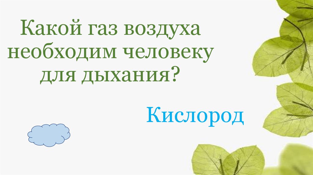 Какой газ необходим животным для дыхания