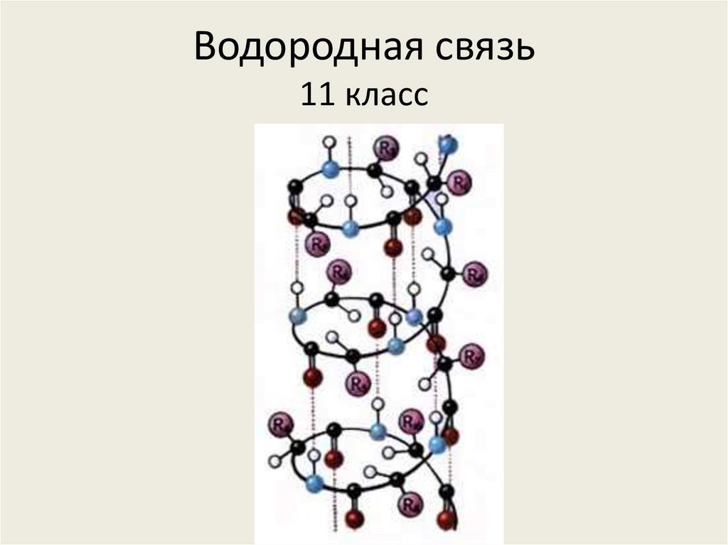 Вторичная структура белка рисунок