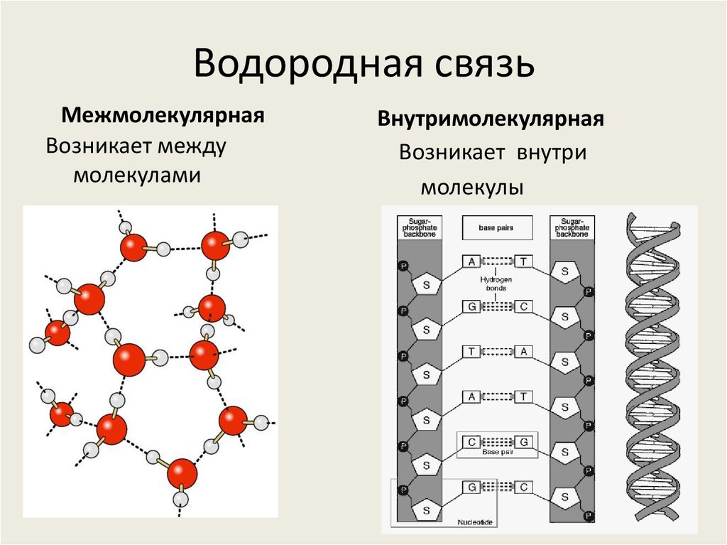 Водородная химическая связь заполните схему