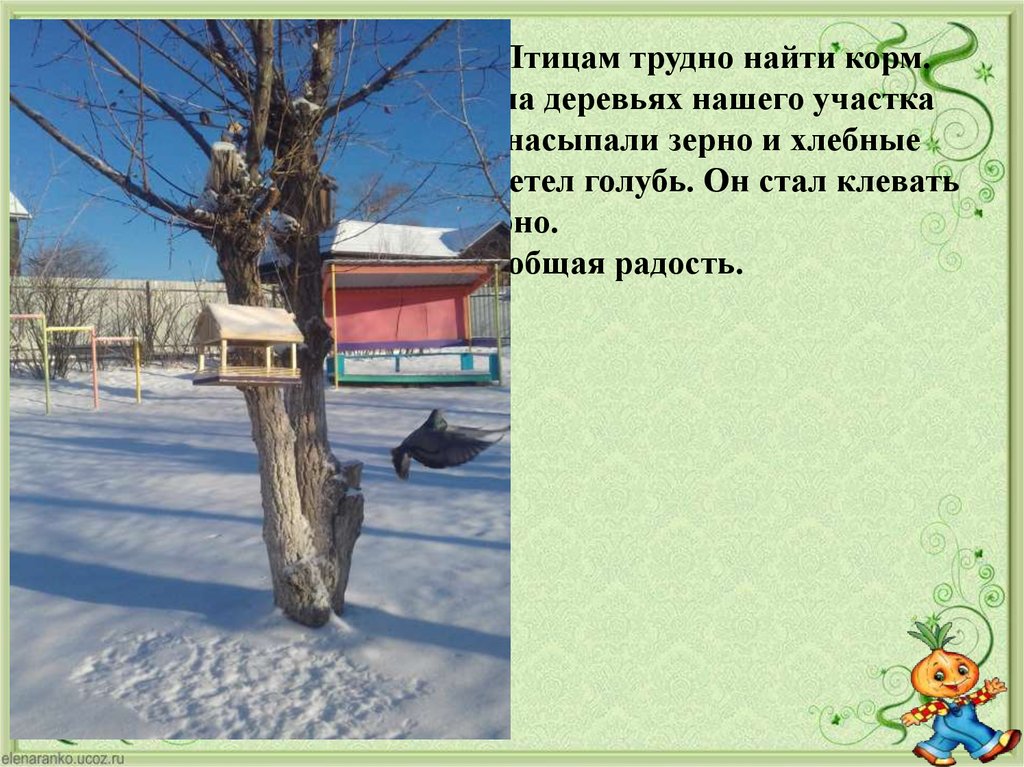 «Долгожданный гость» Это было снежной зимой. Птицам трудно найти корм. Дети повесили кормушки на деревьях нашего участка