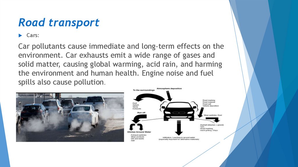 transport and the environment essay