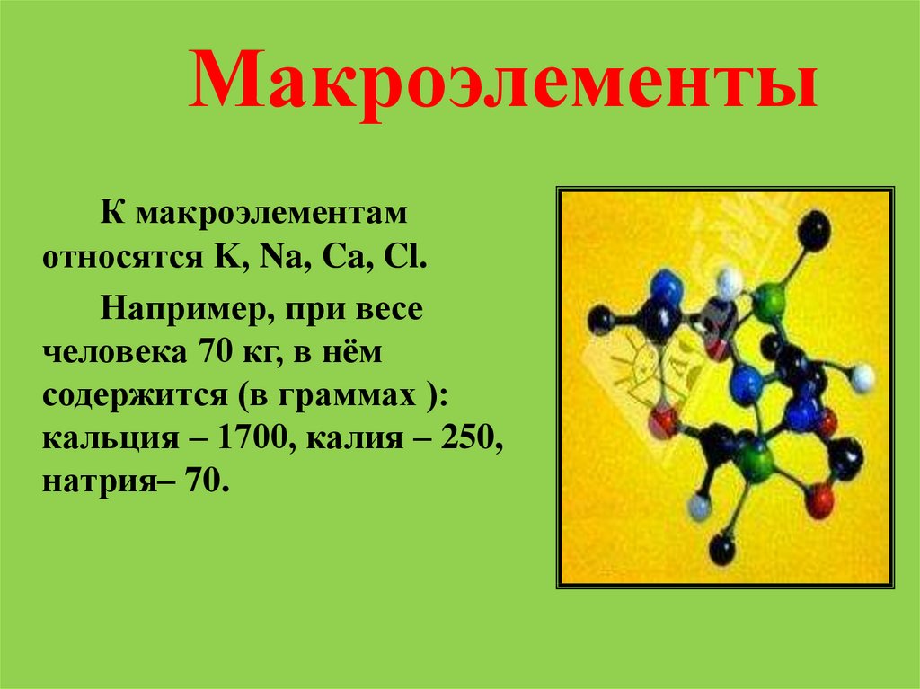 Элементы макроэлементы