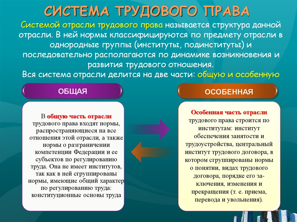 Отрасли труда. Общая и особенная часть трудового права. Структура трудового права. Система трудового законодательства. Система отрасли трудового права.