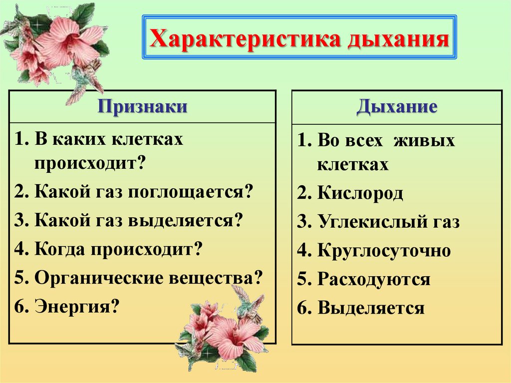 Презентация 6 класс дыхание растений и животных