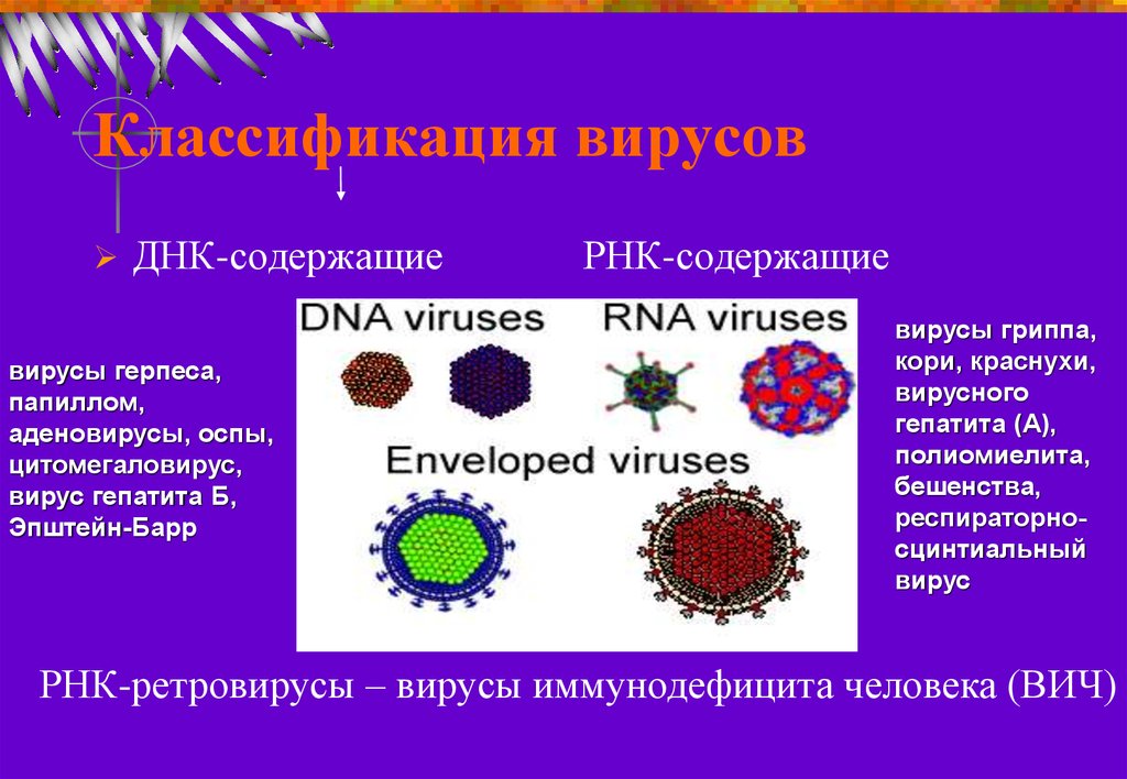 Рнк вирус гриппа а. РНК содержащие вирусы. Классификация вирусов гепатита. Вирус гриппа РНК содержащий. ДНК содержащие вирусы.