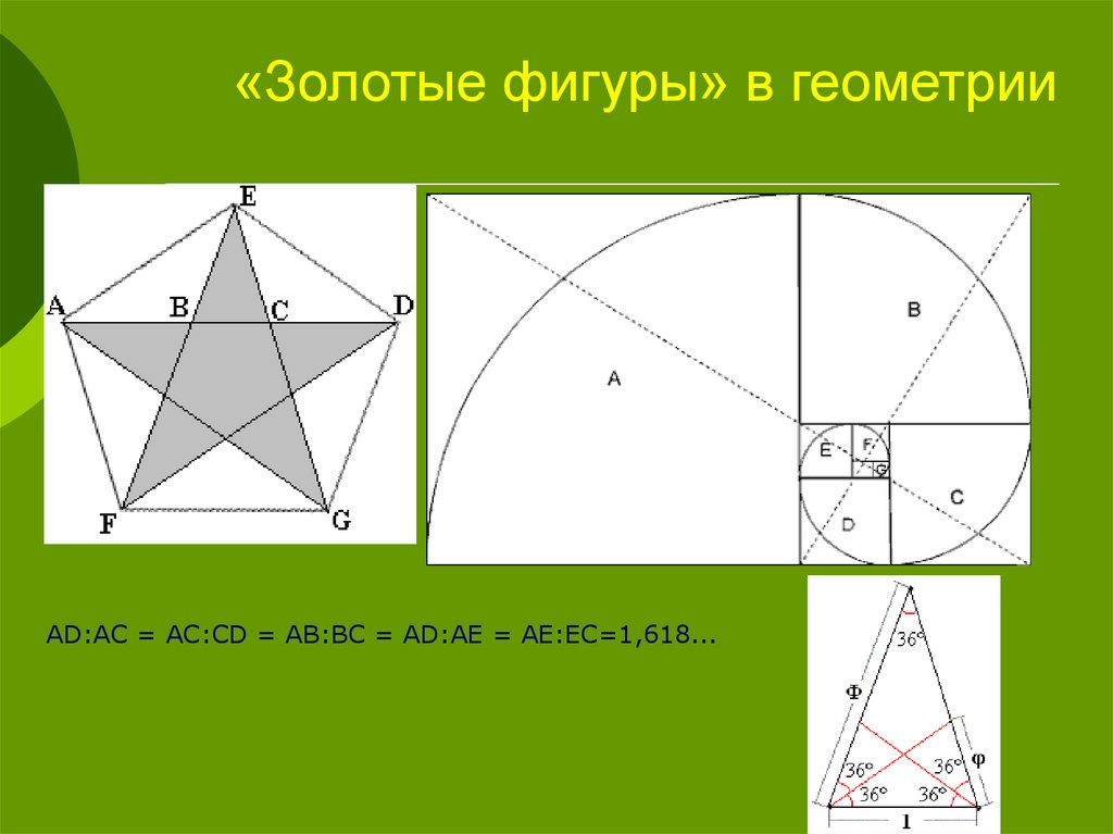 Сечение геометрия. Золотое сечение геометрические фигуры. Золотые фигуры геометрия. Золотое сечение объемная фигура. Золотое сечение из геометрии.