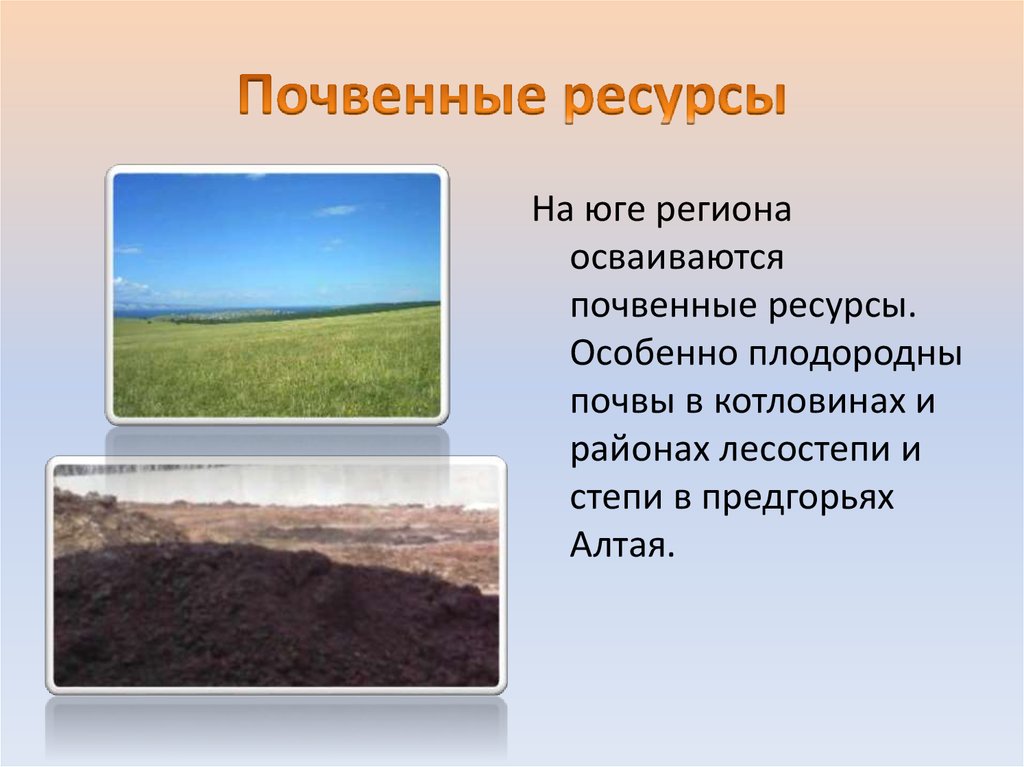 Лесостепи и степи отличаются богатством биологических ресурсов. Почвенные ресурсы. Почвенные природные ресурсы. Почвенные ресурсы Сибири. Почвенные ресурсы запасы.