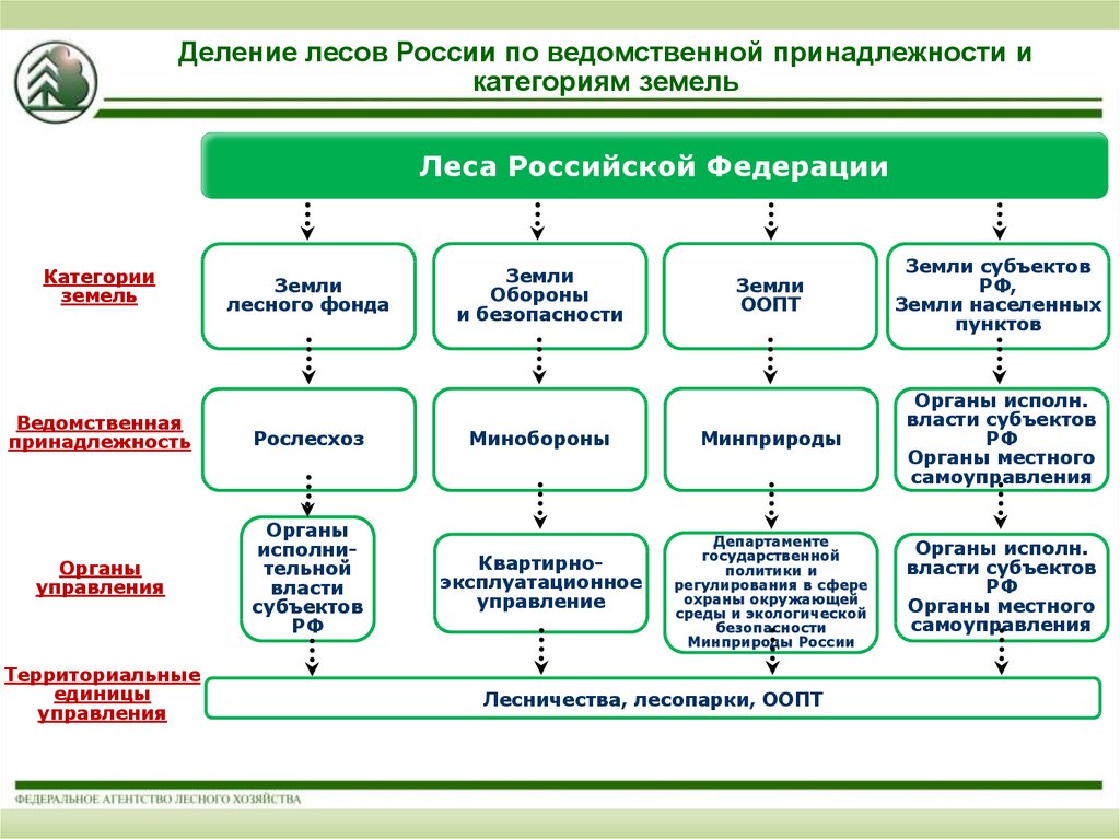 Какие есть группы лесов. Структура управления землями лесного фонда РФ. Структура отдела охраны леса в России. Система охраны леса в РФ. Деление лесов на группы и категории защищённости.