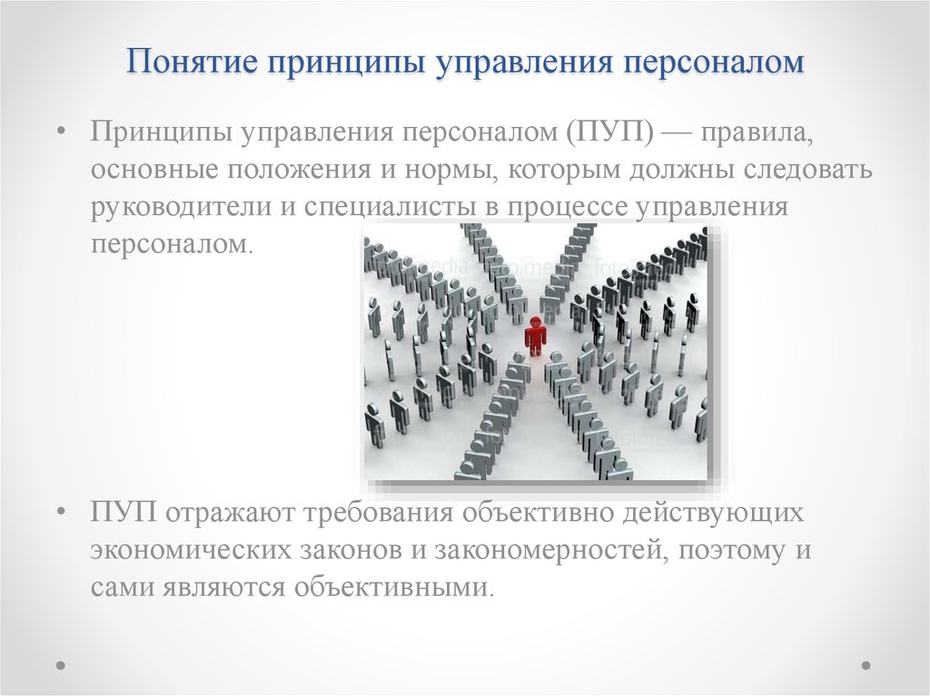 Понятие принцип. Понятие управления персоналом. Понятие принципы управления. Понятие принципов менеджмента. Принципы управления персоналом (пуп).