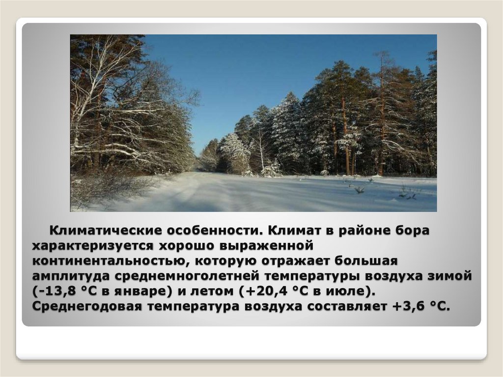 Какой воздух зимой. Климатические особенности. Бузулукский Бор климат. Особенности климата Кузбасса. Какие особенности климата Кемеровской области.