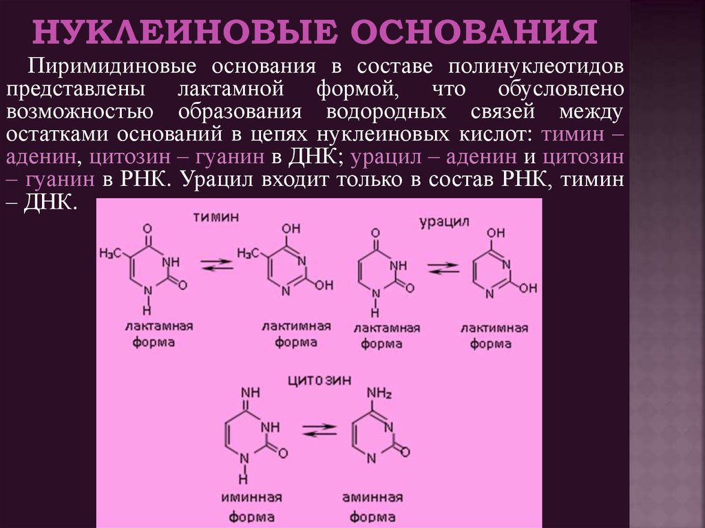 Кольцевая кислота. Нуклеиновые кислоты гуанин цитозин. Цитозин таутомерная форма. Таутомерные формы нуклеиновых оснований. Таутомерные формы азотистых оснований.