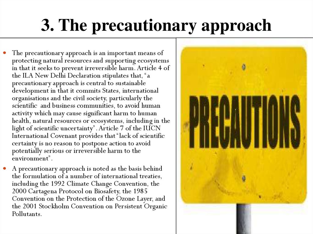 3. The precautionary approach
