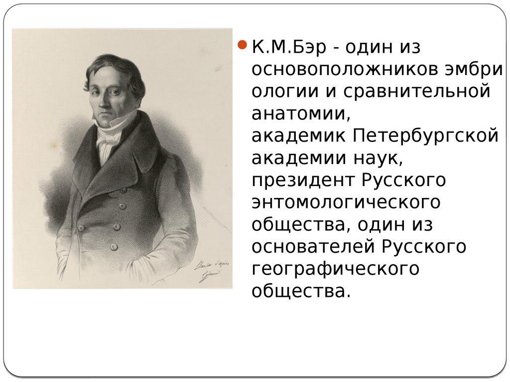 Бэр это. Карл Максимович Бэр (1792-1876. Уникальный библиотекарь Карл Максимович (Эрнест) Бэр (1792-1876). Карл Максимович Бэр презентация. Карл Максимович Бэр 1827 фотосинтез.