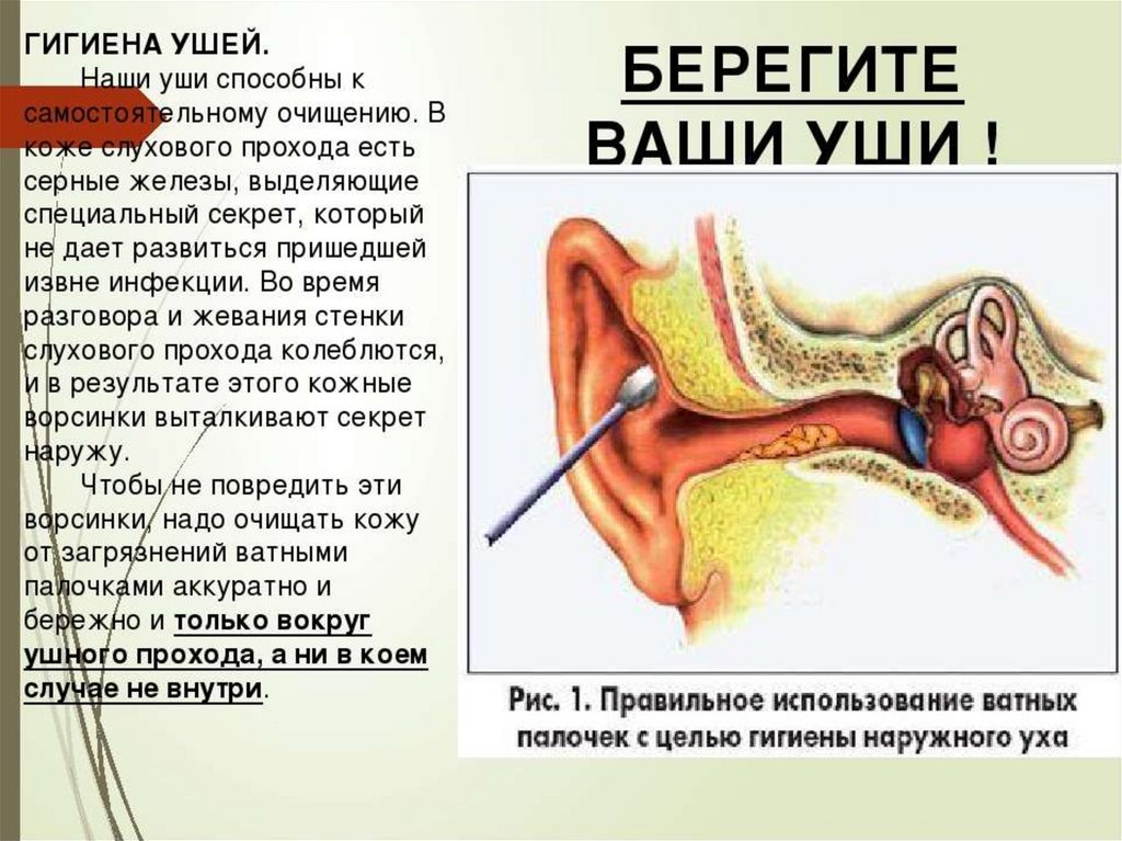 Почему в ухе пульсирующий шум. Памятка гигиена ушей. Памятка по гигиене уха. Гигиена органов слуха. Гигиена слуха ребенка.