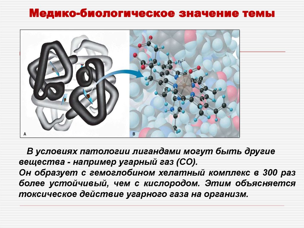 Реферат: Комплексные соединения, их биологическая роль (на примере хлорофилла и гемоглобина)