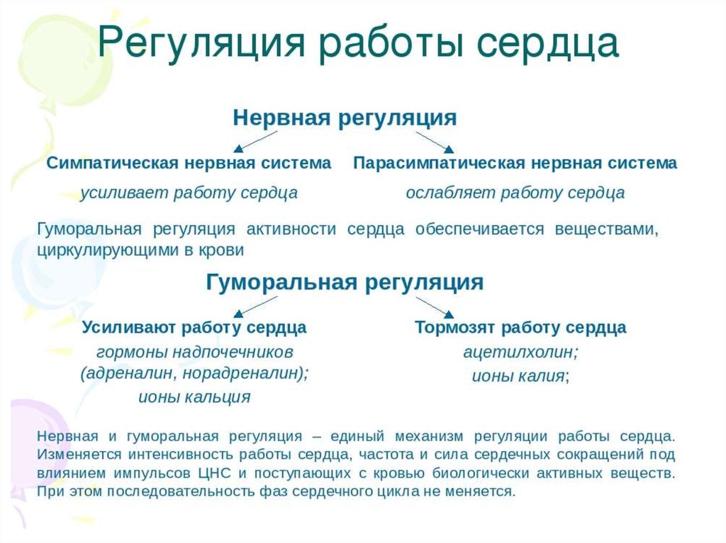 Работу сердца усиливают. Схема регуляции сердечной деятельности. Нервная и гуморальная регуляция деятельности сердца. Регуляция деятельности сердца и сосудов таблица. Регуляция деятельности сердца (нервная, рефлекторная, гуморальная)..