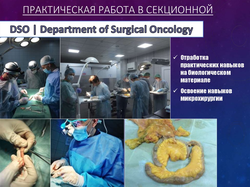 Практическая работа в секционной